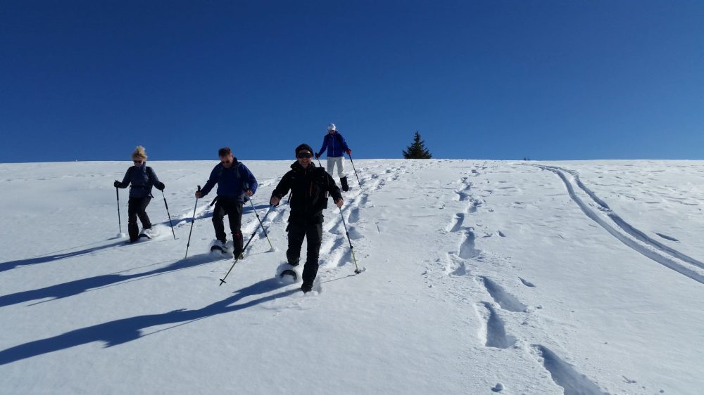 SNEEUWSCHOENWANDELGROEPSREIS